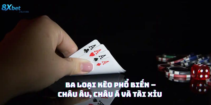 nha cai 8xbet cong nghe du lieu the thao hien dai