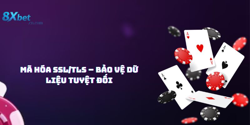 Mã hóa SSL/TLS – Bảo vệ dữ liệu tuyệt đối