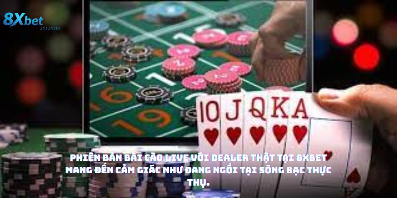 Mẹo chơi bài cào hiệu quả giúp tăng tỷ lệ thắng tại 8XBET