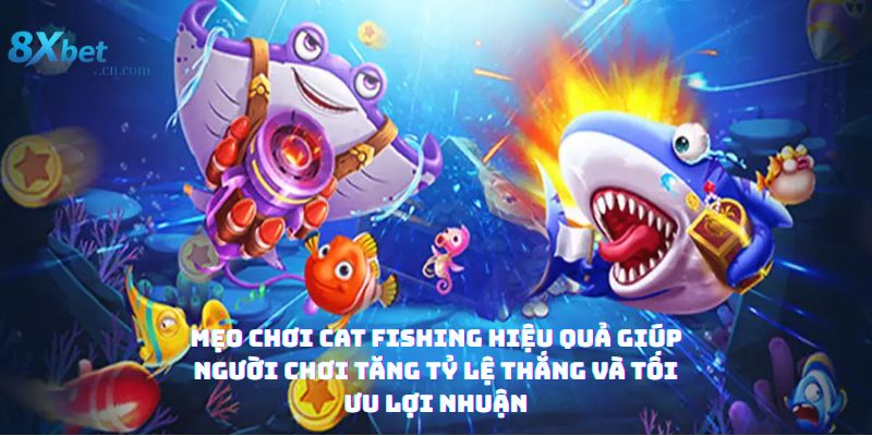 Mẹo chơi Cat Fishing hiệu quả giúp người chơi tăng tỷ lệ thắng và tối ưu lợi nhuận