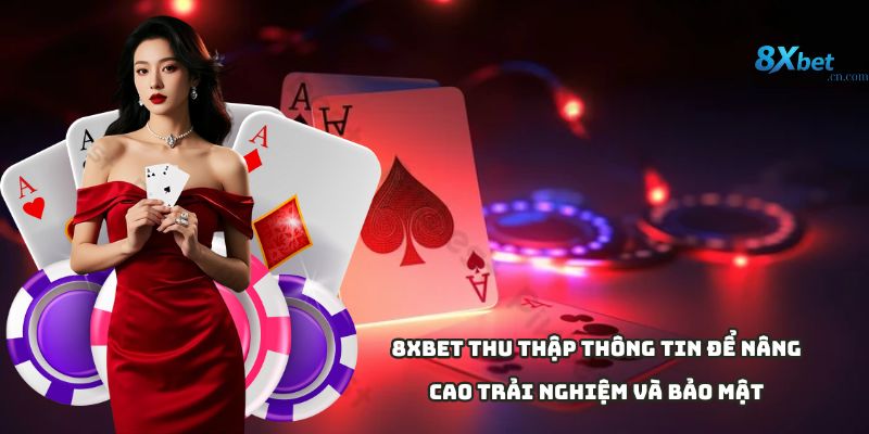 Thông tin được thu tập tại 8xbet