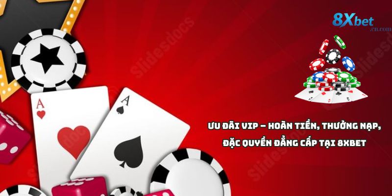 Ưu đãi VIP – Hoàn tiền, thưởng nạp, đặc quyền đẳng cấp tại 8xbet